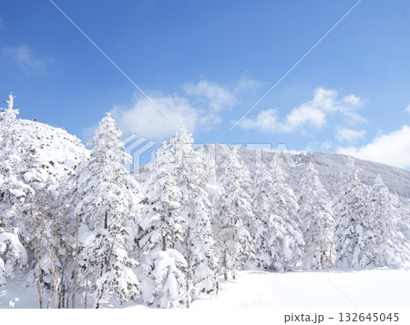 冬のストック素材｜樹氷・霧氷が輝く雪原 132645045