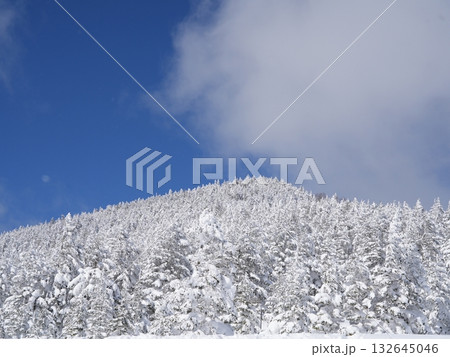 冬のストック素材|樹氷・霧氷が輝く雪原 冬のストック素材|樹氷・霧氷が輝く雪原 132645046