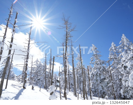 冬の素材|白銀の雪景色と青空 冬の素材|白銀の雪景色と青空 132645047