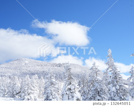 冬の素材｜白銀の雪景色と青空 132645051