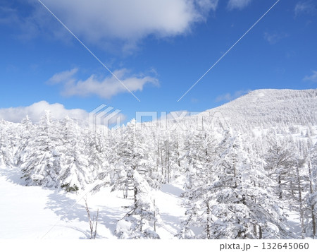 北八ヶ岳の雪山パノラマ｜晴天の青空・太陽・ロープウェイ 132645060