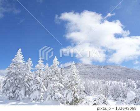 冬の素材｜白銀の雪景色と青空 132645069