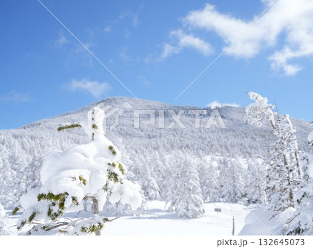 冬の素材｜白銀の雪景色と青空 132645073