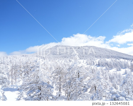 冬のストック素材|樹氷・霧氷が輝く雪原 冬のストック素材|樹氷・霧氷が輝く雪原 132645081
