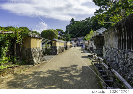 竹田の町並み　殿町武家屋敷通り　大分県竹田市 132645704