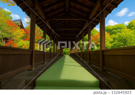 天龍寺　渡り廊下　紅葉 132645925