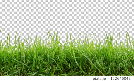 fresh green grass lawn isolated on white background png transparent clipart. 132646042