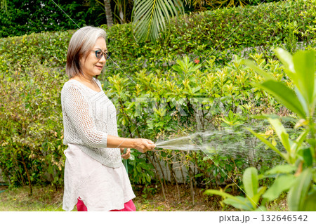 Asian senior woman use watering hose to water the plants in garden of her house. Asian senior woman use watering hose to water the plants in garden of her house. 132646542