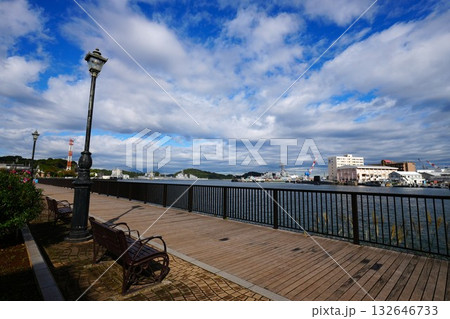 ヴェルニー公園 ヴェルニー公園 132646733