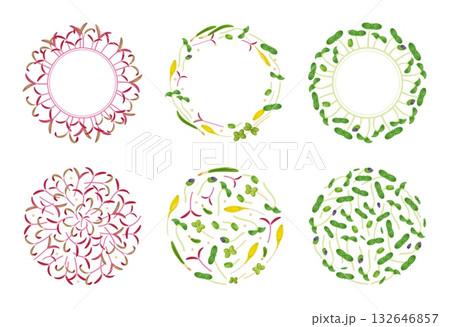 Decorative microgreens frames. Round plant borders, botany plant elements, vegetarian food, peas, mustard, lettuce sprouts, decorative design cartoon flat style isolated classy vector set 132646857