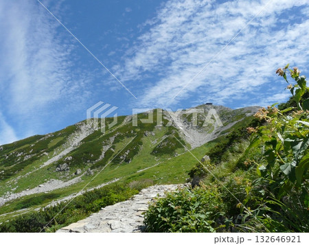 緑が映える立山山頂 132646921