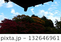寺の縁側から見る庭園の紅葉 132646961