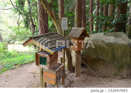 島根 黄泉比良坂 島根 黄泉比良坂 132647065