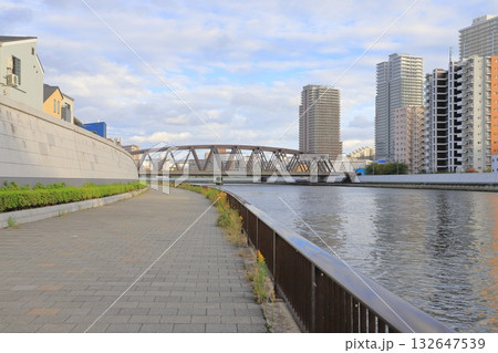 千住隅田川テラスから見る風景（常磐新線隅田川橋梁） 132647539