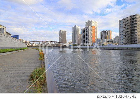 千住隅田川テラスから見る風景（常磐新線隅田川橋梁） 132647543
