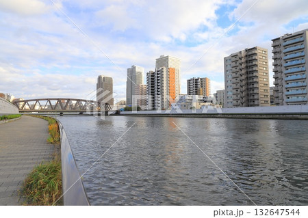 千住隅田川テラスから見る風景（常磐新線隅田川橋梁） 132647544