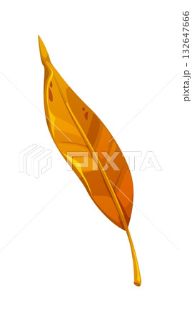 Cartoon willow autumn leaf in fall season. Orange and yellow weeping osier leaves. Narrow and long salix foliage with veins 132647666
