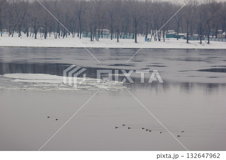 A wide shot of a river in winter with ice floes, snow-covered bank, and a line of bare trees on a grey day 132647962