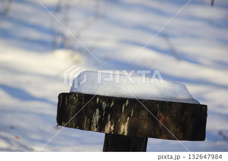 Snow-capped tree stump in a bright winter forest, focus on the texture and natural contrast Snow-capped tree stump in a bright winter forest, focus on the texture and natural contrast 132647984