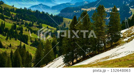 Lush green valleys and snowy peaks create a stunning landscape in the Swiss Alps during springtime 132648063