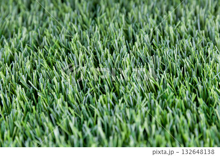 Close-up of mown lawn grass Close-up of mown lawn grass 132648138