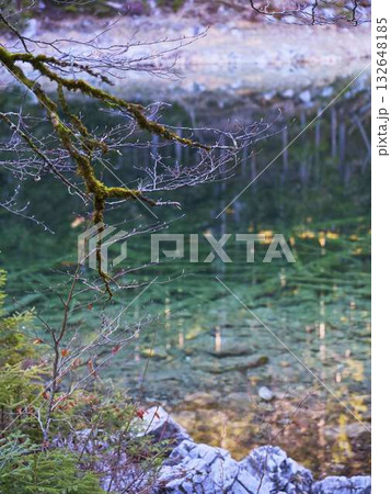 Tranquil forest reflection at a clear pond during early morning light with vibrant colors 132648185