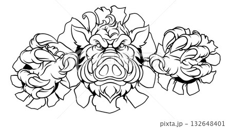 Boar Wild Hog Razorback Warthog Pig Sports Mascot 132648401