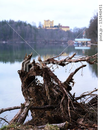 Stunning lakeside view featuring a twisted tree root with a distant castle on the shoreline during early evening 132648451
