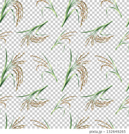 Seamless pattern with rice stalks. Hand-drawn watercolor illustration. Design element for labels, menus, recipes, and cookbooks. For banners, flyers, packaging, and more. 132649265