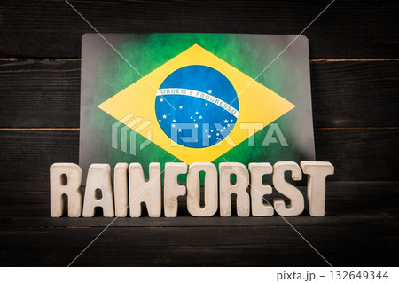 Brazilian Flag with RAINFOREST Text Highlighting the Amazons Global Environmental Importance Brazilian Flag with RAINFOREST Text Highlighting the Amazons Global Environmental Importance 132649344