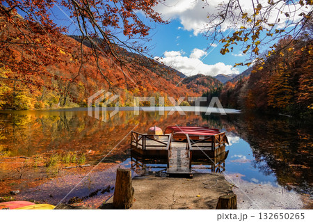 Belgrade Lake in Montenegro Surrounded by Autumn Forest 132650265