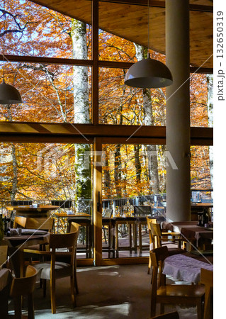 Glass Building with Autumn Trees 132650319