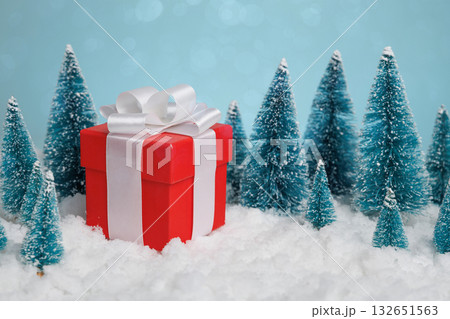 Holiday themed present display, Luxury gift container adorned with ribbon in winter woodland scene 132651563