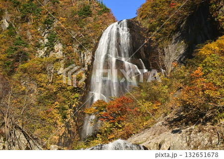 安の滝と紅葉 安の滝と紅葉 132651678