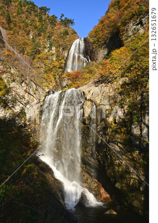 安の滝と紅葉 安の滝と紅葉 132651679