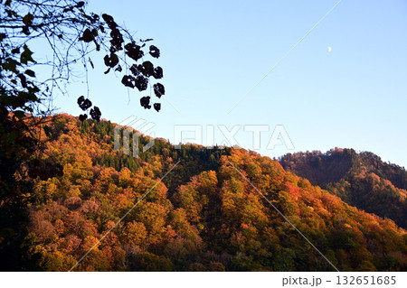 中ノ又渓谷の紅葉と月 中ノ又渓谷の紅葉と月 132651685