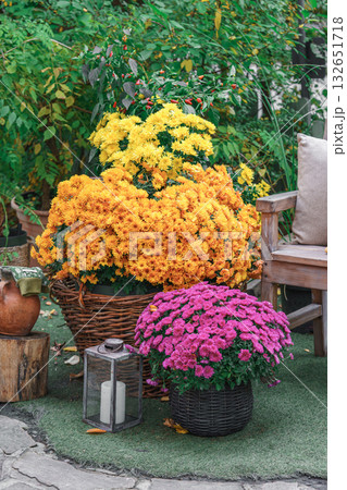 Autumn chrysanthemum arrangement in wicker baskets and lantern with candle. Fall street decor 132651718