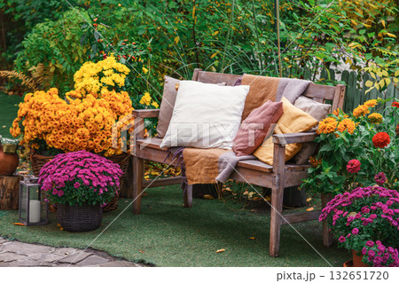 Wooden garden bench with pillows among autumn flowers and colorful foliage in fall backyard Wooden garden bench with pillows among autumn flowers and colorful foliage in fall backyard 132651720