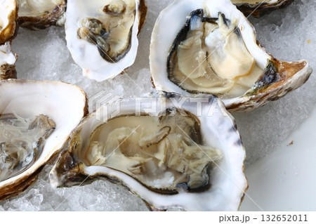 fresh oysters as luxury gourmet food for celebration 132652011