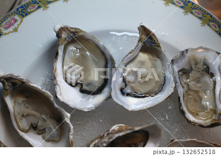 fresh oysters as luxury gourmet food for celebration fresh oysters as luxury gourmet food for celebration 132652518