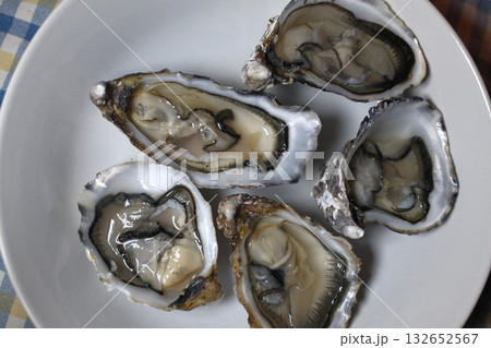 fresh oysters as luxury gourmet food for celebration 132652567