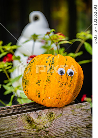 北海道　旭川　上野ファームの秋 132652693