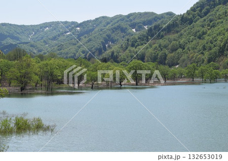 荒沢ダム 県内最大規模 132653019