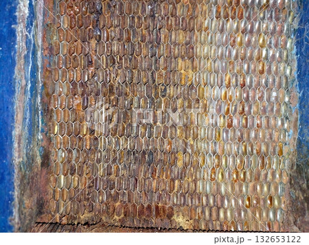 Industrial Plate Heat Exchanger With Visible Plate Pack Used in Thermal Processes 132653122