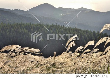 細野高原 132653144