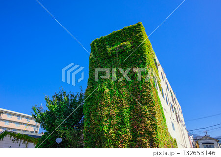 モンスター【蔦に覆われたビル】 モンスター【蔦に覆われたビル】 132653146