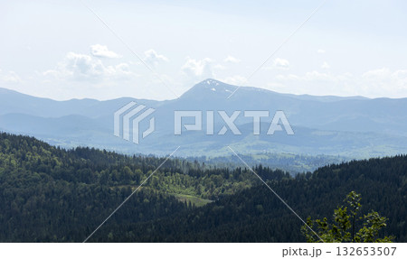 A beautiful natural landscape of Carpathian forested mountains in summer 132653507