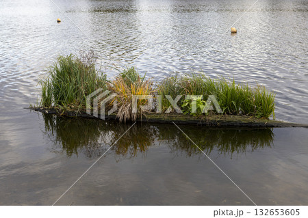 A grassy island in the lake water 132653605