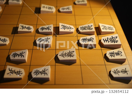 将棋（第73期王座戦第4局投了棋譜） 132654112