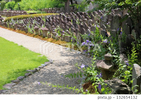 桔梗の花と石仏の群れ 132654132